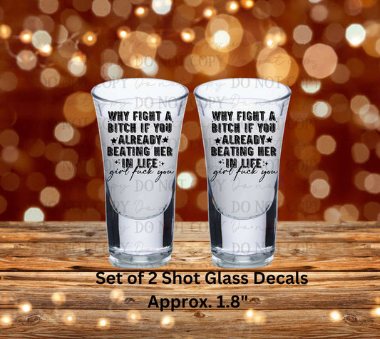 Why Fight A Bitch... Girl Fuck You Set of 2 UV DTF Shot Glass Decals