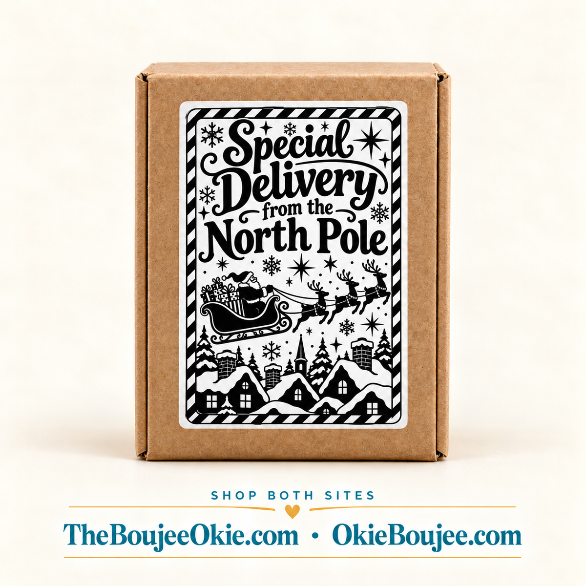 Special Delivery from the North Pole 4X6 Thermal Label Shipping Packaging Stickers Pack of 20